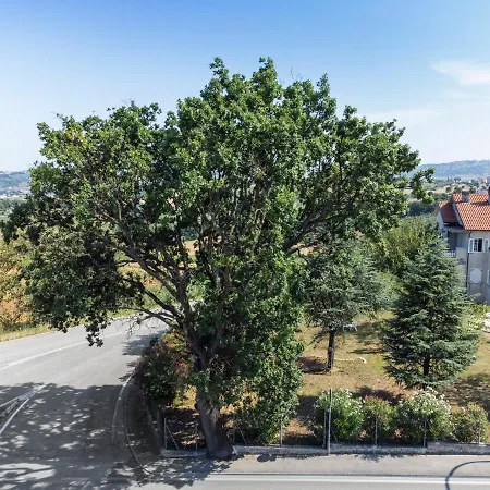 Oak Tree 114 Frühstückspension 3*