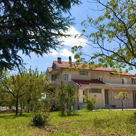 Bed & Breakfast Oak Tree 114 Castelfidardo