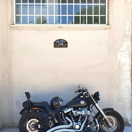 Oak Tree 114 Bed & Breakfast