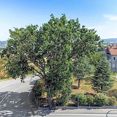 Bed & Breakfast Oak Tree 114